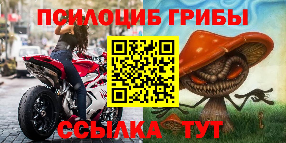 Гусь-Хрустальный  как найти закладки  Вход с VPN  Псилоцибиновые грибы GOLDEN TEACHER 